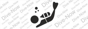 Рубрика "Dive-now"