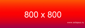 800x800