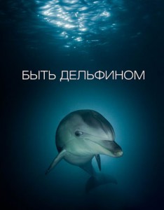 В Москве состоялась долгожданная презентация книги «Быть дельфином» Виктора Лягушкина и команды PHOTOTEAM.PRO