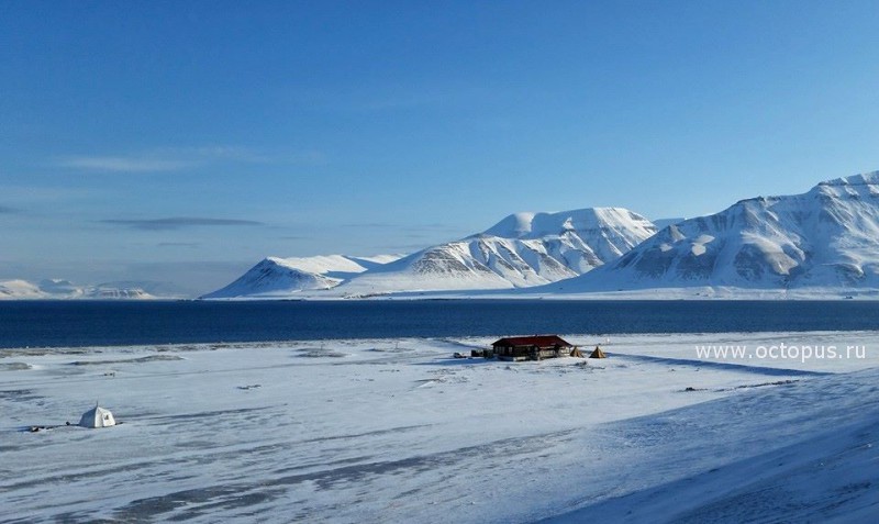  Русские фридайверы покорят Северный полюс