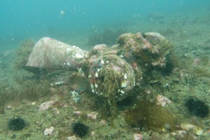 В Японском море дайверы подняли обломки советского Ил-2