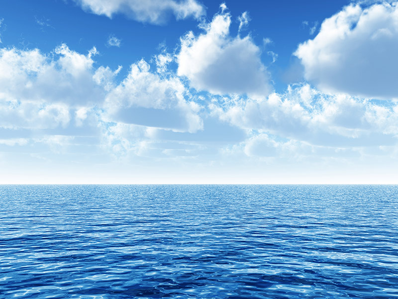 В День океанов совершите виртуальный подводный тур с Google