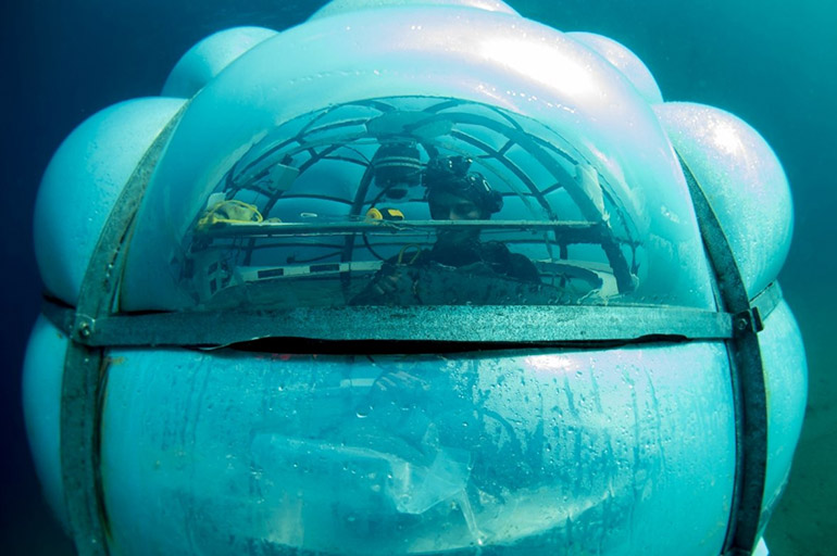 В Италии появился подводный огород