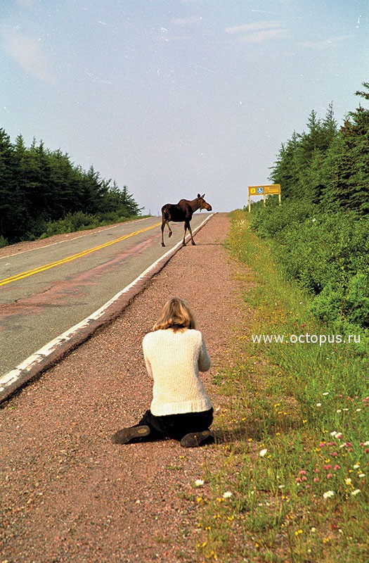 Nova Scotia, Канада