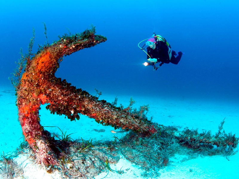 Лучшие места для дайвинга по версии Diver Awards