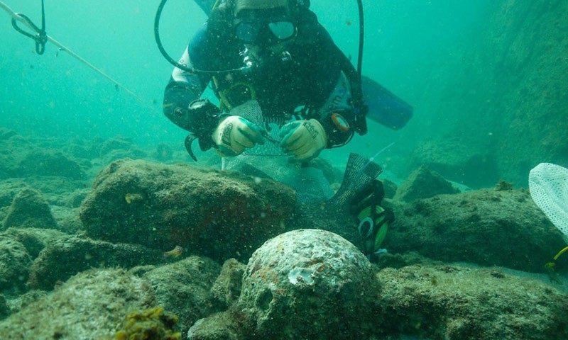 Подводные археологи обнаружили обломки затерянной «Эсмеральды». Фото: Esmeralda Shipwreck 1503