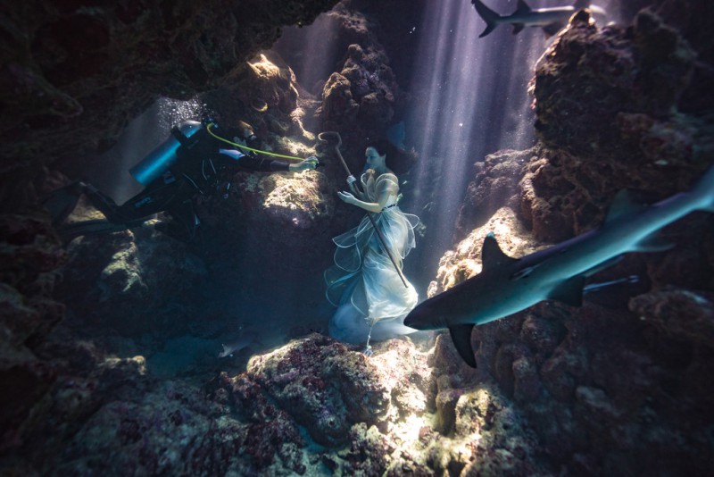 Фотосессия с акулами на Фиджи