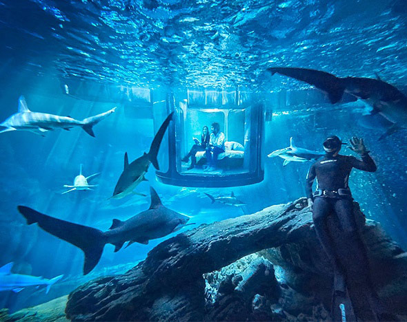 Во Франции открыли первую в мире подводную спальню с акулами