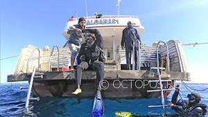 Дайвинг-гид помогает дайверу с ампутацией ноги сделать вход в воду с лодки, не оборудованной подъемником. Египет